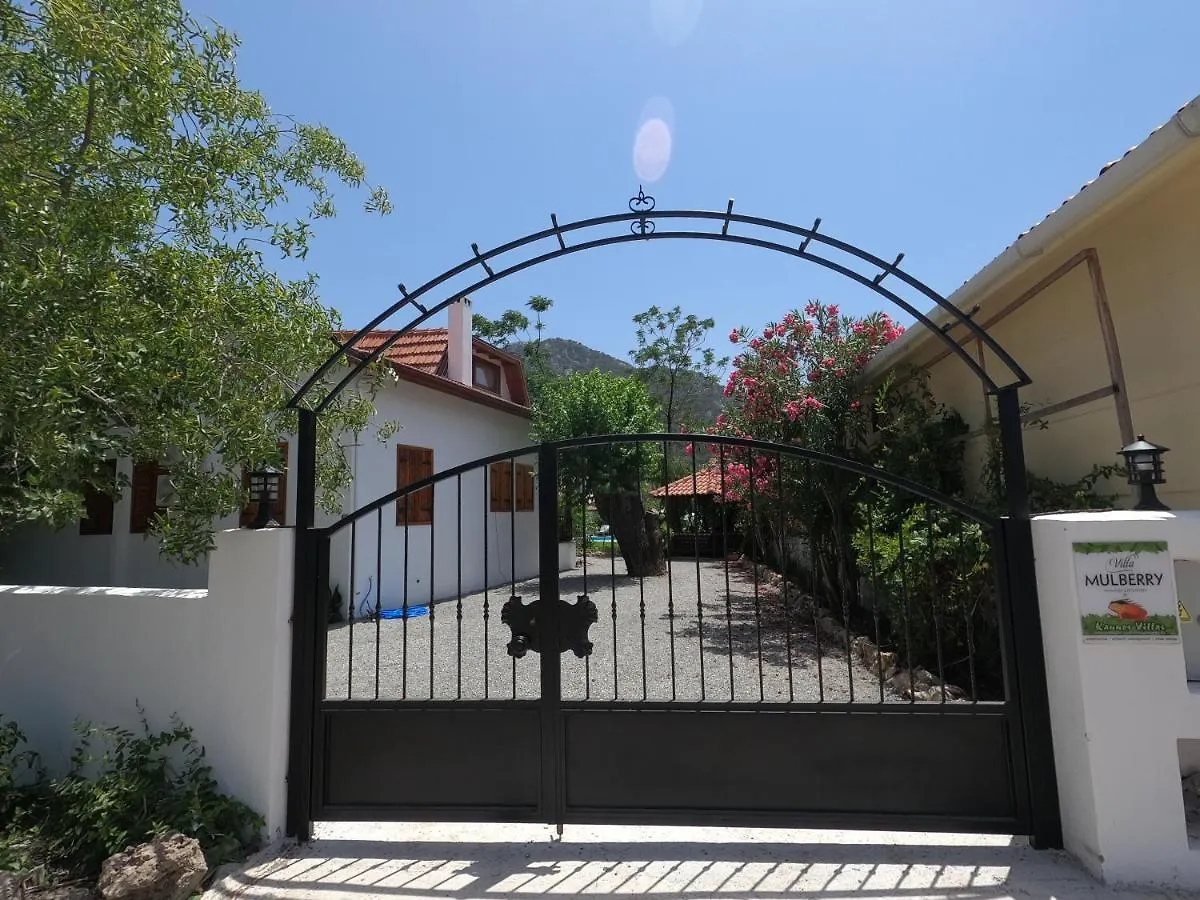 Mulberry House Villa Dalyan Turkey